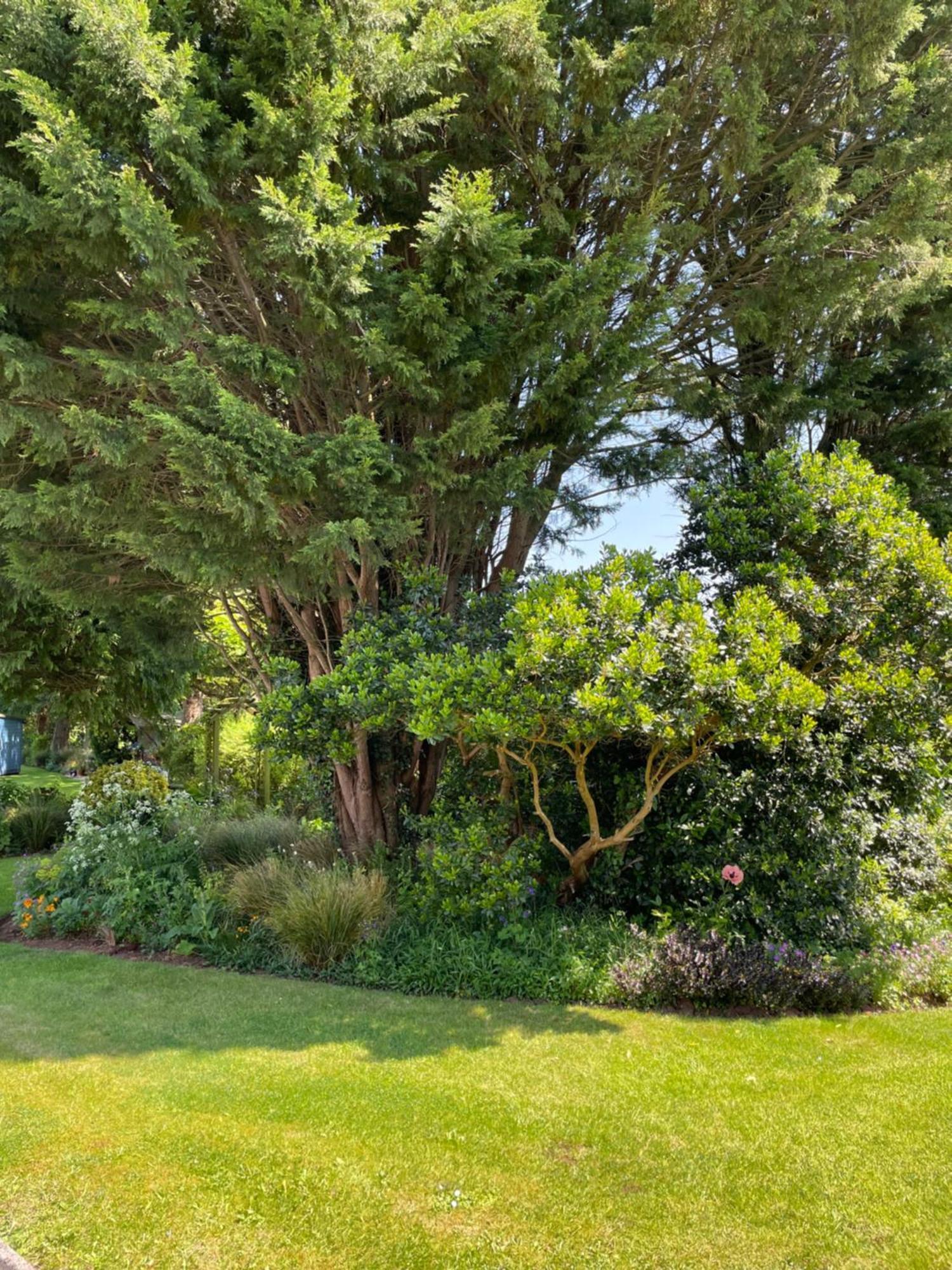 Villa Leylands Annexe East Harptree Exterior foto